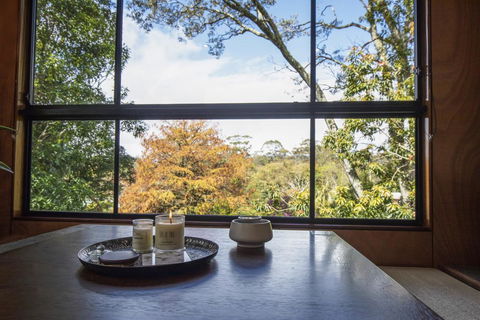 Springbrook25 Upper Apartment - Accommodation Bookings 0