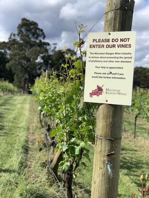 Springhill Winery - Accommodation Bookings 3