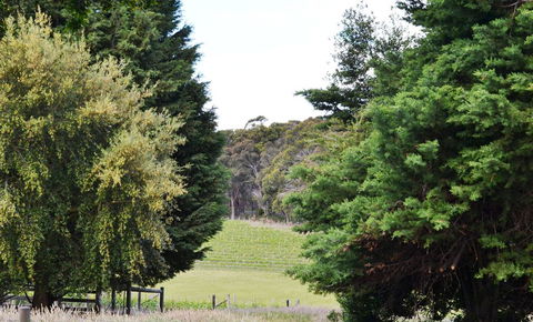 Springhill Winery - Accommodation Bookings 1