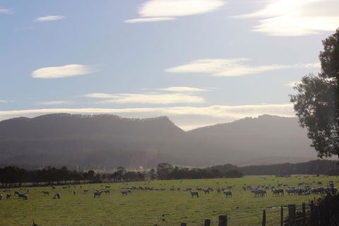 St Marys Hotel And Bistro - Accommodation Bookings 3