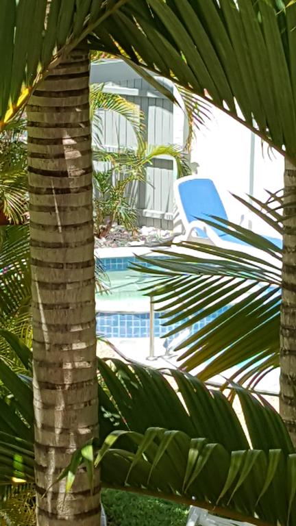 Studio Apartment Mooloolaba Beach Holiday Management - Accommodation Bookings 0