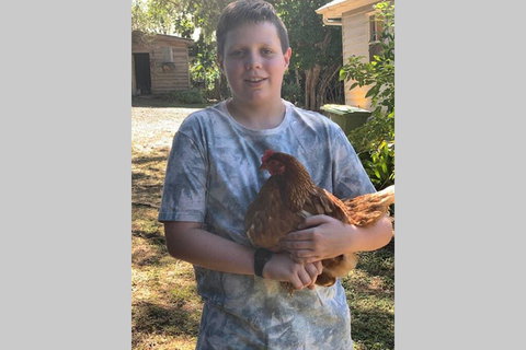 Stunning Queenslander - Accommodation Bookings 2