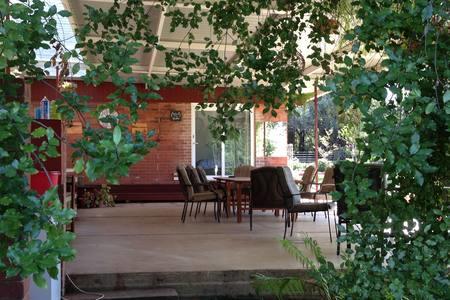 Sue's Sanctuary - Accommodation Bookings 1