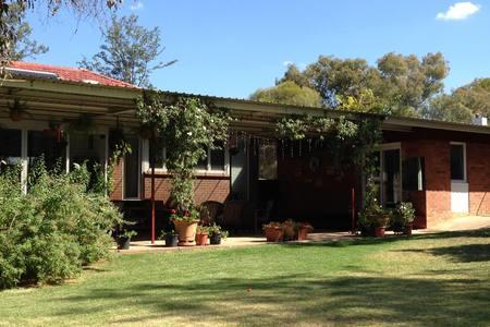Sue's Sanctuary - Accommodation Bookings 3