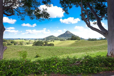 Sunrise At Sanquar, Noosa Hinterland - Accommodation Bookings 2
