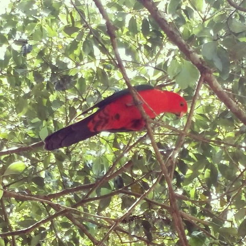 Sunshine Valley Cottages - Accommodation Bookings 3