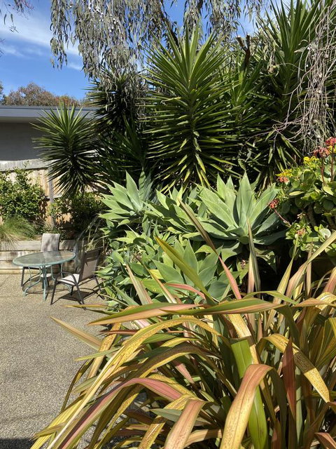 Surf Coast Haven - Accommodation Bookings 3