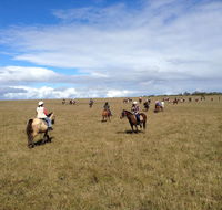 Susan River Homestead - Accommodation Bookings