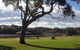 Sussex Shores - thumb 1