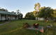 Tabitha Hill Homestead - thumb 0