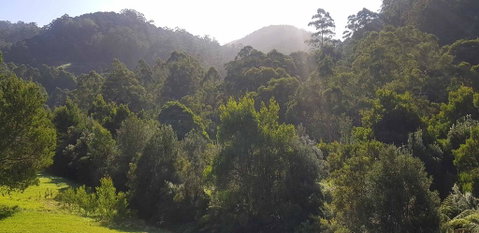 Tall Trees Retreat - Accommodation Bookings 1