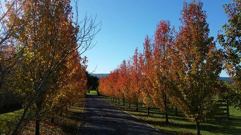 Tamar Valley Farm Stay - Accommodation Bookings 3