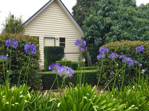 Tamborine Gardens - Accommodation Bookings 1