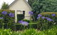 Tamborine Gardens - thumb 1