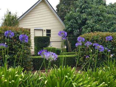 Tamborine Gardens - Accommodation Bookings 1