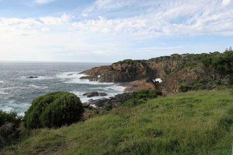 Tathra Hotel & Motel - Accommodation Bookings 1