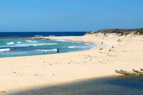 Tea Tree - Accommodation Bookings 2
