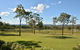 Tellace Wines Homestead - thumb 3