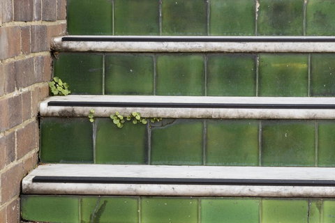 The Alison Randwick - Accommodation Bookings 2