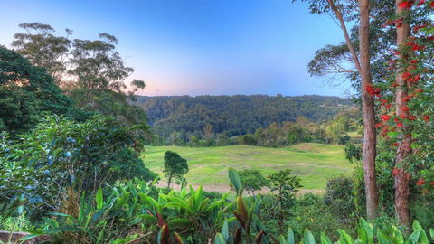 The Avenue At Montville Luxury Cottage - Accommodation Bookings 3