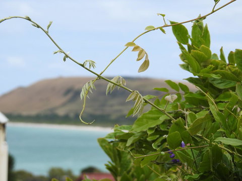 Ellie\'s Cottages - Accommodation Bookings 3