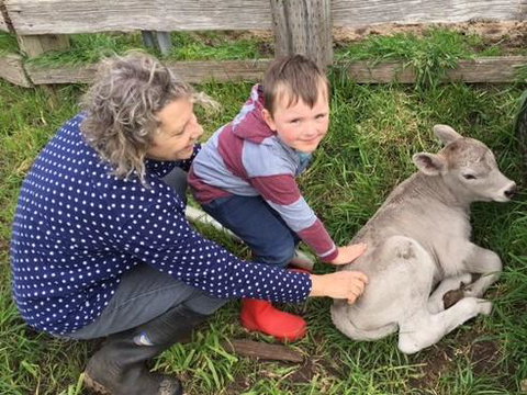 Ellie\'s Cottages - Accommodation Bookings 41