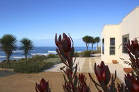 Book Falmouth Accommodation Vacations Accommodation Bookings Accommodation Bookings