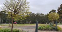Book Lebrina Accommodation Vacations Accommodation Bookings Accommodation Bookings
