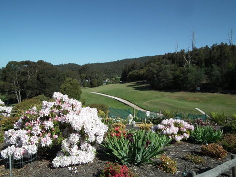 Harlea - Accommodation Bookings 16