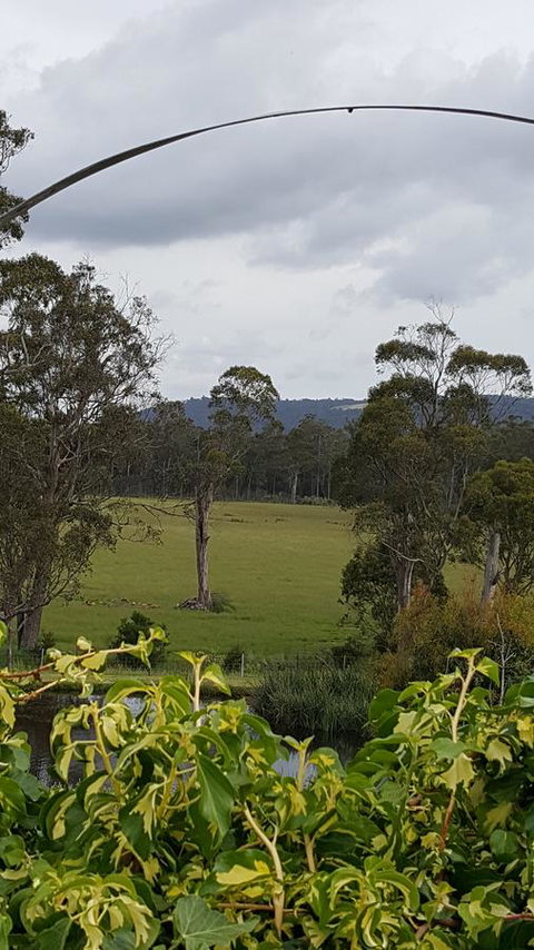 Hazelcreek Cottages - Accommodation Bookings 34