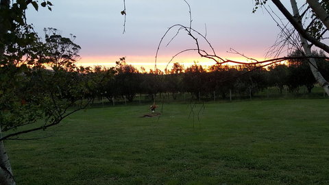 Hazelcreek Cottages - Accommodation Bookings 33