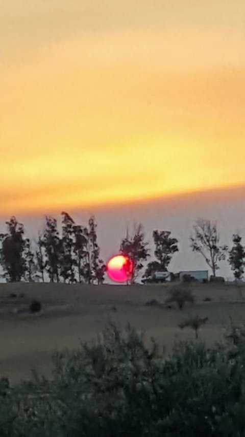 Hazelcreek Cottages - Accommodation Bookings 31