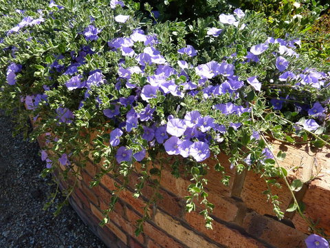 Hazelcreek Cottages - Accommodation Bookings 27