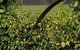 Hazelcreek Cottages - thumb 36