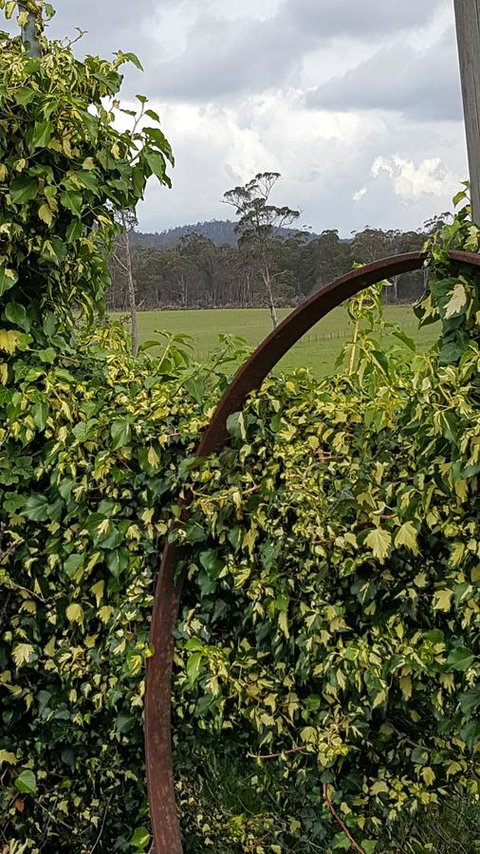 Hazelcreek Cottages - Accommodation Bookings 36