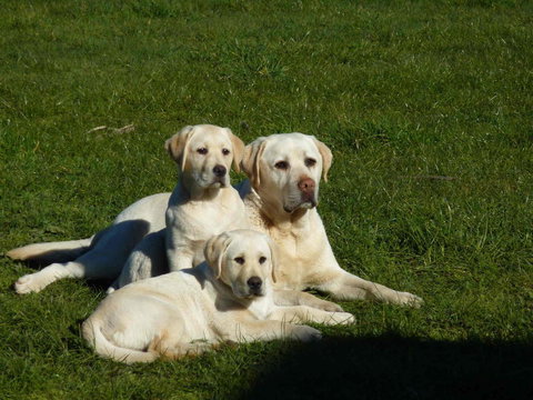 Hazelcreek Cottages - Accommodation Bookings 26