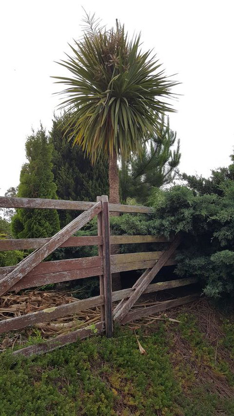 Hazelcreek Cottages - Accommodation Bookings 38