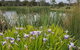 Hazelcreek Cottages - thumb 1