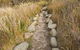 Larus Waterfront Cottage - thumb 16