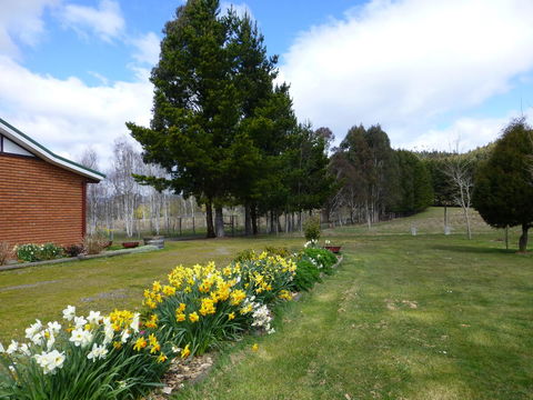 Quamby Pines Chalet - Accommodation Bookings 23
