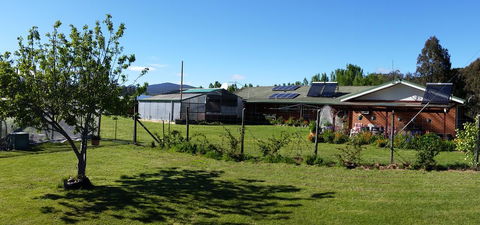 Quamby Pines Chalet - Accommodation Bookings 1