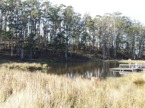 Quamby Pines Chalet - Accommodation Bookings 14