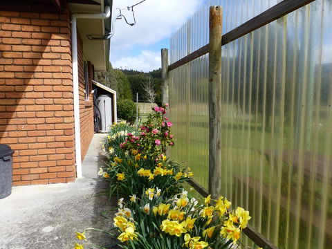 Quamby Pines Chalet - Accommodation Bookings 20