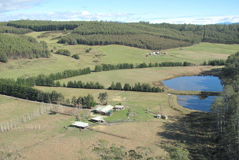 Quamby Pines Chalet - Accommodation Bookings 7