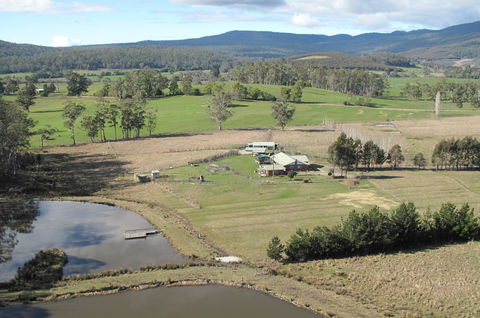 Quamby Pines Chalet - Accommodation Bookings 9