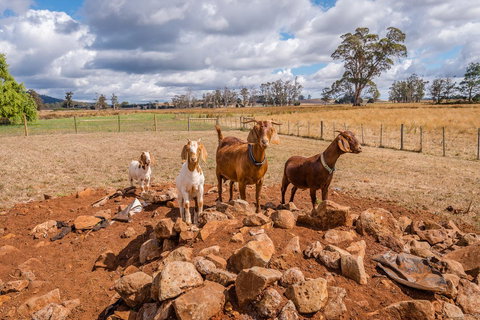 Glencoe Country Bed And Breakfast - Accommodation Bookings 36