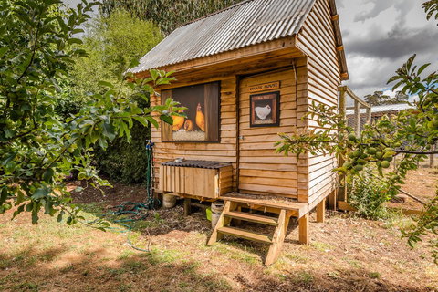 Glencoe Country Bed And Breakfast - Accommodation Bookings 34