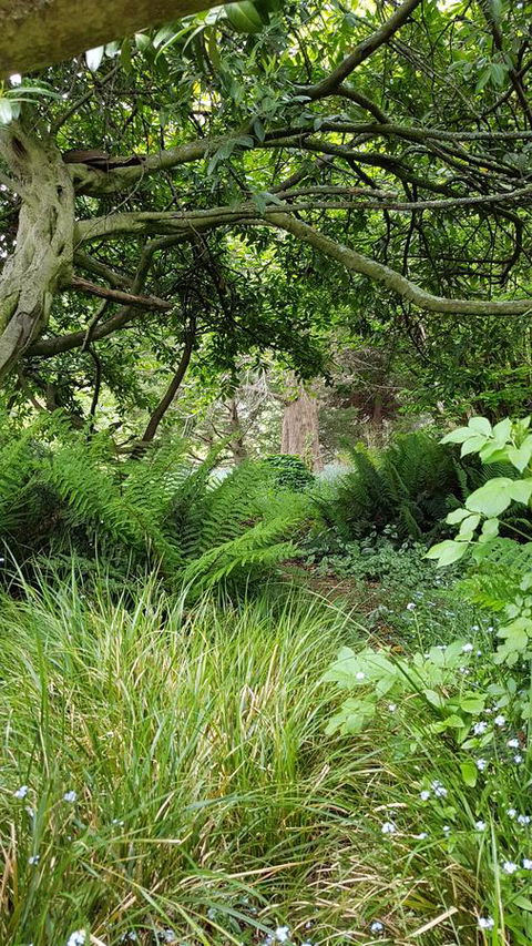 Whispering Hills Retreat - Accommodation Bookings 15