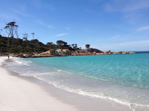 THE LOFT @ Bay Of Fires Seascape - Accommodation Bookings 2