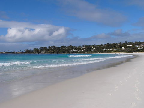 THE LOFT @ Bay Of Fires Seascape - Accommodation Bookings 25